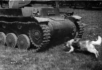 perro bomba segunda guerra mundial tanque rusia union sovietica