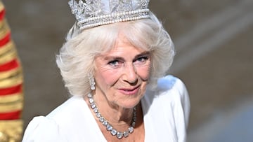 Preocupación por el estado de salud de la Reina Camila: Buckingham cancela su agenda - Famosos