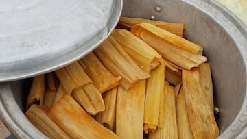 Revelan que siete niños fueron hospitalizados de urgencia en Puebla y dieron positivo a fentalino, tras comer tamales en puesto callejero.