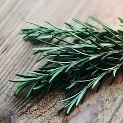 Harvard lo tiene claro: esta es la planta nativa del Mediterráneo que potencia tu mente y hace frente al estrés