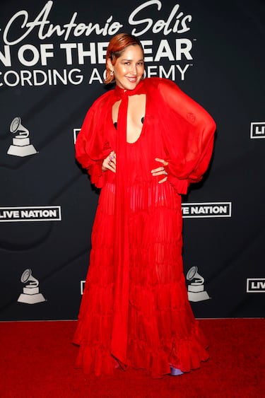Georgina deslumbra en la gala los Latin Recording Academy