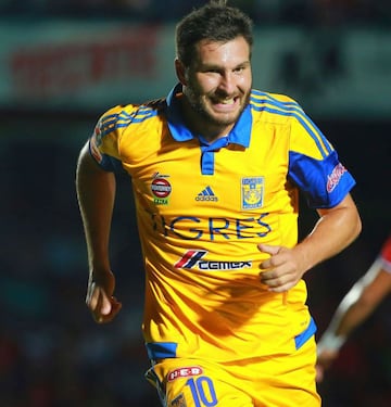 El delantero francés se ha convertido en una de las principales figuras de la Liga MX. El exjugador de Toulouse y Marsella, mundialista en 2010, se enroló con el equipo de la UANL para disputar la Copa Libertadores 2015 y el Apertura 2015. Con Tigres ha levantado cuatro títulos de liga.