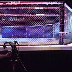 Las normas de la UFC para volver a la acción en Las Vegas