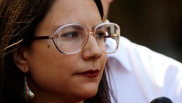 Los graves hechos delictuales en las calles de Santiago que provocaron la reacción de la alcaldesa Irací Hassler