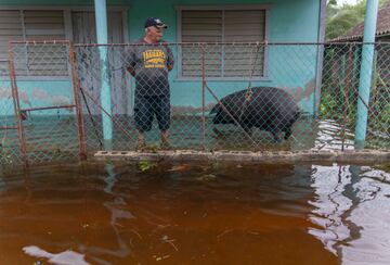 Un hombre pasa tiempo con su cerdo en su porche inundado tras el paso del huracán Helene en Guanimar, provincia de Artemisa, Cuba.