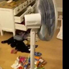 How Ribéry's home looked after robbery