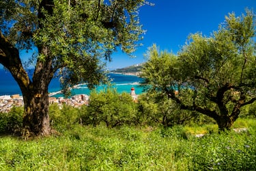 El país heleno se sitúa en el tercer lugar. Su media histórica se encuentra entre las 100.000 y 300.000 toneladas. Como el resto de productores, Grecia también depende de la sequía para tener buenas cosechas. En la foto, vista de la ciudad de Zakynthos (Zante) desde el olivar.