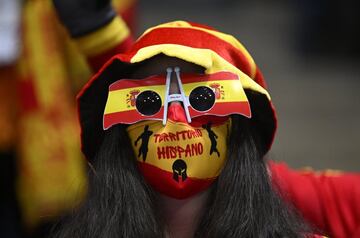 España consiguió una importantísima victoria frente a Alemania (29-23) en el Europeo de balonmano que le permitió soñar con llegar a semifinales. Lo cierto es que aficionados tan incondicionales como la que se muestra en la fotografía llevan en volandas al equipo. Así da gusto jugar... y ganar.