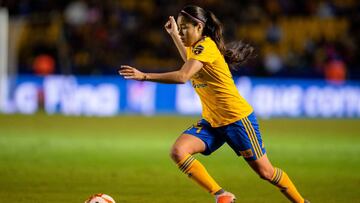 Se han definido las llaves de las semifinales del fútbol mexicano femenil profesional, y Tigres, Chivas, América y Pachuca son los invitados, por lo que se avecina una final inédita.