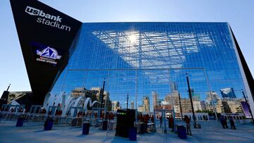 El estadio de los Vikings es una trampa mortal para pájaros