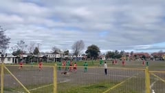 Solo podría ocurrir en Chile: ¡un perro anotó un gol!