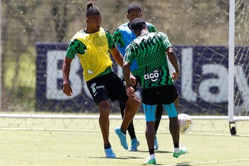 Atlético Nacional se pone al día en el calendario y este jueves enfrentará a Envigado en el Atanasio Girardot. Así se preparan los dirigidos por Hernán Darío Herrera.