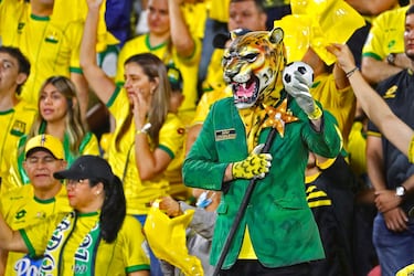 Un aficionado del Atlético Bucaramanga aparece disfrazado con una mascara de leopardo durante el partido de la fase de grupos de la Copa Libertadores entre los colombianos y el Colo-Colo chileno, en el estadio Américo Montanini de Bucaramanga. Los locales, que regresaban al torneo continental tras 27 años, debieron conformarse con un empate (3-3).