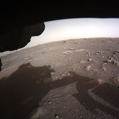 Anabaena spiroides, el microorganismo que podría colonizar Marte