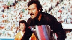 Adiós Gato, tú sí puedes volar alto