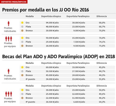 "?nicamente el 20% de las instalaciones son accesibles"