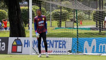 Los dirigidos por Héctor Cárdenas se preparan para los encuentros amistosos ante Suecia, Gales y Murcia Sub 21.