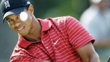 <b>CLARA POSTURA</b>. El mejor golfista del mundo no ha dudado en postularse contrario al dopaje y pedir duras sanciones para los que hagan trampas. Un ejemplo a seguir.