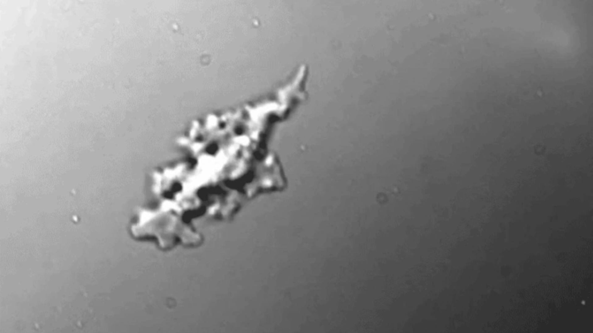 F73LCLSQTZDA3NTETRVV2NM5HY.jpg?auth=b2fa0187f968c65f0ee314ae4d4408ff14e3456b8ba6953470d7fe183cc9fe3c