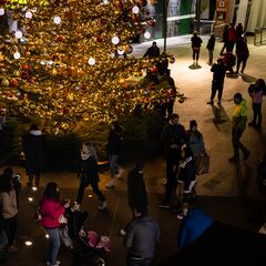¿Cuánto cuesta poner el árbol de Navidad y cuánto gastan las luces encendidas?