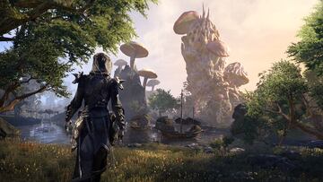 Captura de pantalla - The Elder Scrolls Online: Morrowind (PC)
