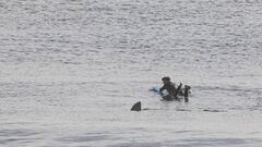 Un surfista avista una aleta de tibur&oacute;n en el agua