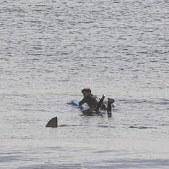 Un fotógrafo capta el inicio de la 'temporada alta' de tiburones con una foto que se ha hecho viral