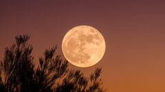 When is the best time to watch November’s Full Beaver supermoon? Check out the full moon tonight