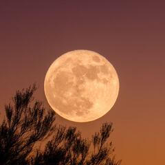 When is the best time to watch November’s Full Beaver supermoon? Check out the full moon tonight