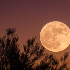 Luna llena de septiembre 2025: ¿cuándo y a qué hora ver la Luna de Cosecha en México?