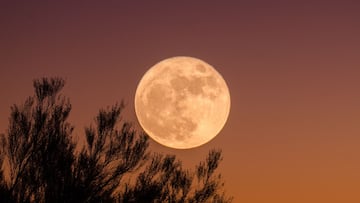 Descubre la fecha y hora exacta en que se podrá ver la Luna llena de Cosecha en México para este mes de septiembre.