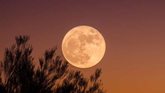 The Beaver Moon will light up November skies as 2025’s brightest and closest full moon.