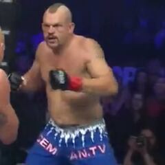 Resumen y resultados del Chuck Liddell - Tito Ortiz III