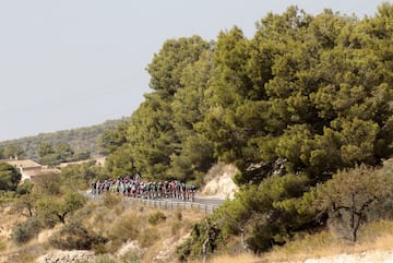 El pelotón durante un tramo de la octava etapa de la Vuelta a España 2017. 