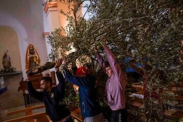 Miembros de la "María Santísima de la soledad y dulce nombre de Jesús" cargan una rama de olivo durante los preparativos de Semana Santa en la ciudad sureña de Quesada, Jaén, España.