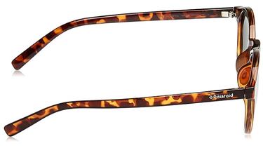 Como las Ray-Ban, pero más baratas: las gafas de sol Polaroid que serán tendencia deseada este otoño