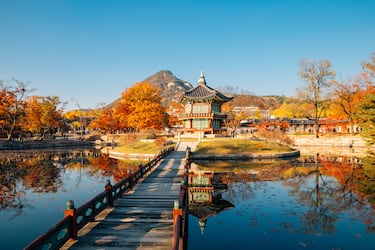 Los parques de la ciudad (como el de la Torre Namsan) y los jardines de sus palacios tradicionales (como Gyeongbokgung) explotan en colores intensos. Es un momento ideal para disfrutar de la mezcla de modernidad y tradición.