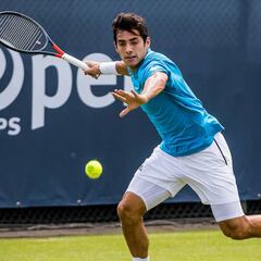 El pasto no sólo es para las vacas