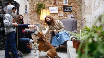 El motivo por el que lamen los perros: ¿qué significa cada tipo de lamido?