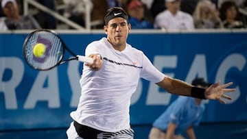 Del Potro derrota a Querrey y pasa semis con los favoritos