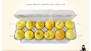 Know your lemons, conoce tus limones, es una campa?a viral contra el c¨¢ncer de mama que refleja los doce s¨ªntomas de esta enfermedad a trav¨¦s de una huevera con doce limones.