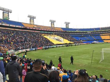 Tigres entrena a puerta abierta y fans se entregan: 'El más querido de México'