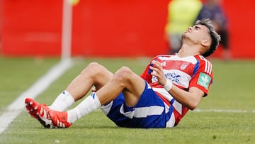 26/01/25 PARTIDO SEGUNDA DIVISION
GRANADA - SPORTING DE GIJON
Reinier LESION