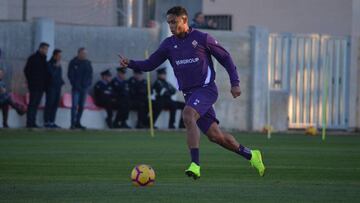 El técnico de Fiorentina, Stefano Pioli, habló sobre el colombiano Luis Fernando Muriel y destacó su buen estado físico y variantes en ataque.