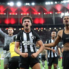 Botafogo, líder intratable