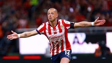 Javier -Chicharito- Hernandez of Guadalajara  during the 17th round match between Guadalajara and Atletico San Luis as part of the Liga BBVA MX, Torneo Apertura 2024 at Akron Stadium on November 09, 2024 in Guadalajara, Jalisco, Mexico.