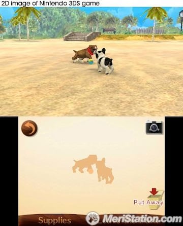 Captura de pantalla - nintendogs_french_bulldog_playing_ball_in_park1.jpg