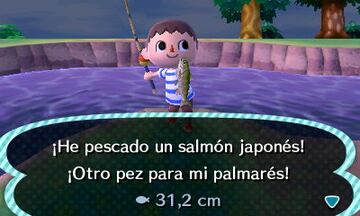 Captura de pantalla - Animal Crossing: New Leaf (3DS)