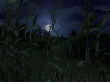 The Witcher en movimiento; gráficos y tráiler