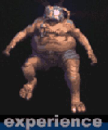 Captura de pantalla - experiencie_portada.gif